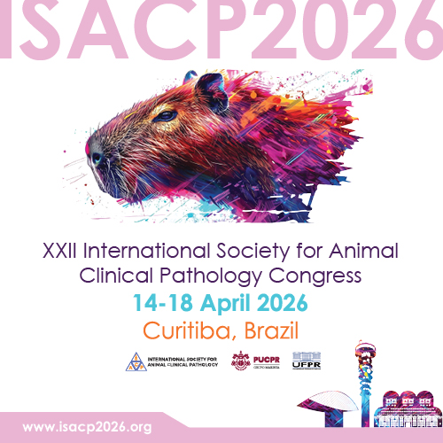 Congress Banner 240&times;240