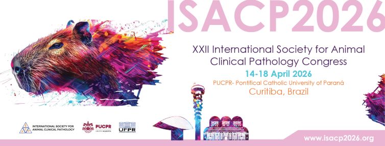 Facebook Cover Photo