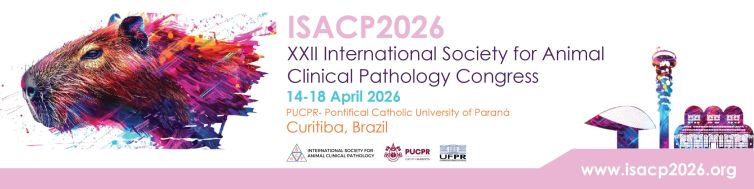 LinkedIn Profile Cover